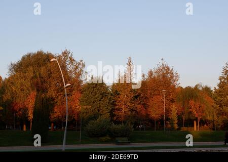 Views from Park in Autumn Stock Photo