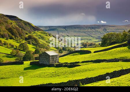 Hay Barns in Upper Swaledale in Autumn, Yorkshire Dales, England, UK