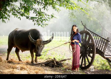 Thailand's farmer in rural scene with buffalo Stock Photo