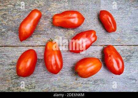 Fresh, local, red, plum, roma tomatoes laid out on a deck. In Surry, Maine. Stock Photo