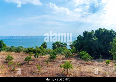 Panoramic view of Sea of Galilee, Kinneret, Lake Tiberias. View from Galilee Mountains. Israel. High quality photo Stock Photo