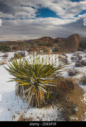 snow in the desert Stock Photo