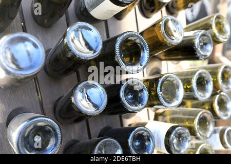 Empty wine bottles on a wooden stand Stock Photo