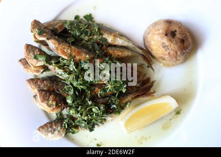Fried horse mackerel on plate in restaurant Stock Photo