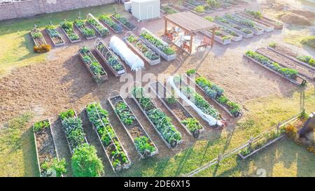 Wooden pergola and shed near row of raised beds at community garden in Dallas, Texas, USA Stock Photo