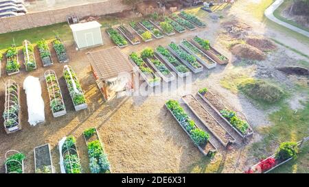 Wooden pergola and shed near row of raised beds at community garden in Dallas, Texas, USA Stock Photo