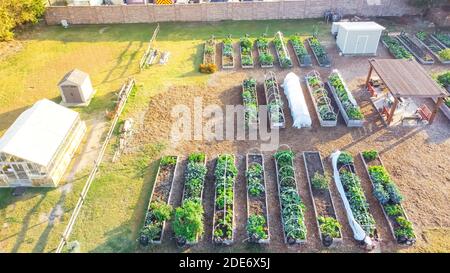 Wooden pergola and shed near row of raised beds at community garden in Dallas, Texas, USA Stock Photo