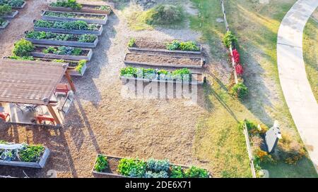 Community garden with pergola and row of raised beds near park pathway in Dallas, Texas, USA Stock Photo