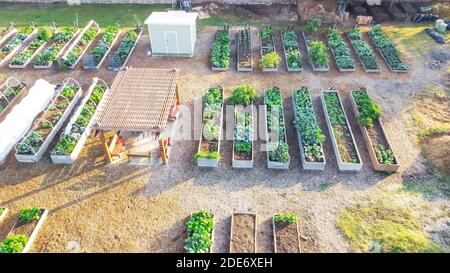 Wooden pergola and shed near row of raised beds at community garden in Dallas, Texas, USA Stock Photo