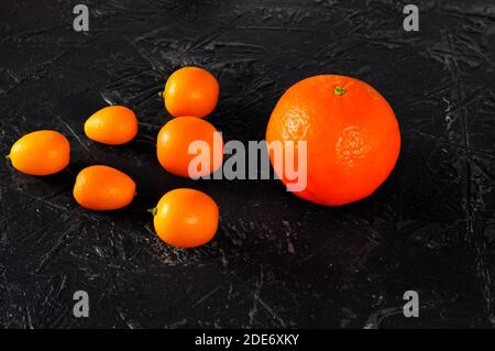 A few kumquats and a tangerine or orange on a dark background. The concept of leadership, similarities and differences. Stock Photo