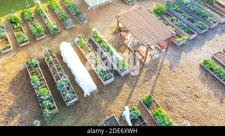 Top view community garden with pergola and row of raised planting beds in Dallas, Texas, USA Stock Photo