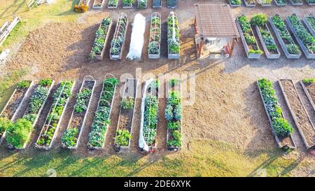 Top view community garden with pergola and row of raised planting beds in Dallas, Texas, USA Stock Photo