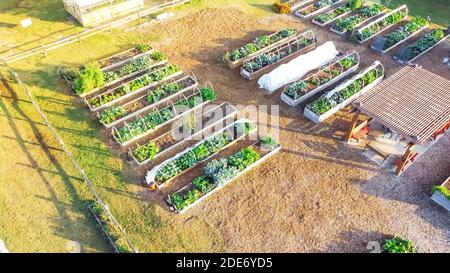 Top view community garden with pergola and row of raised planting beds in Dallas, Texas, USA Stock Photo