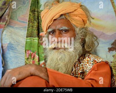 Middle-aged Indian Shaivite sadhu with grey hair and thick beard poses for the camera during the Shivratri Mela (Bhavnath Fair). Stock Photo