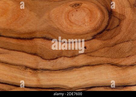 Olive wood rustic texture close up Stock Photo