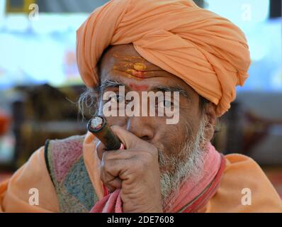 Elderly Indian Hindu devotee (sadhu, baba, guru) with tilaka marks on his forehead smokes hashish (marijuana) in a chillum pipe at the Shivratri Mela. Stock Photo