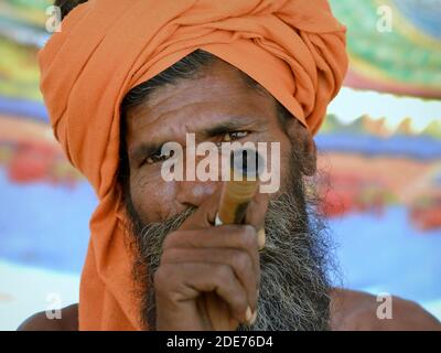 Elderly Indian holy man (sadhu, baba, guru) smokes hashish with his chillum clay pipe and poses for the camera during the Shivratri Mela festival. Stock Photo