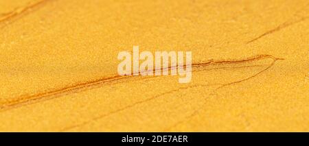 Golden abstract background. Luxury shiny gold texture. Christmas decoration background. Gold painted pattern. Blank for designer. Minimalism Stock Photo