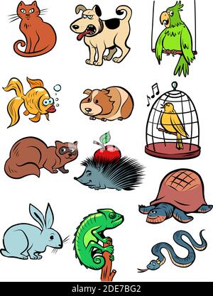 Pets animals collection set icons symbols Stock Vector