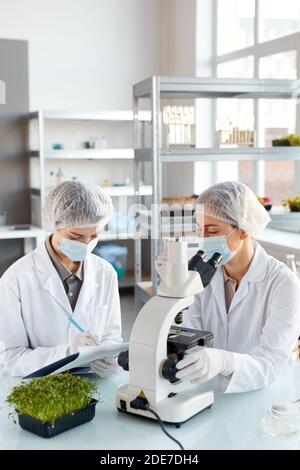 Vertical portrait of two young female scientists looking in microscope while studying plant samples in biotechnology lab Stock Photo
