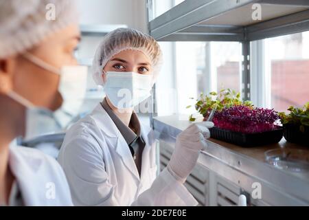 Portrait of young female scientist wearing mask and looking at colleague while studying plant saplings in biotechnology lab, copy space Stock Photo