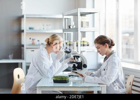 Side view portrait of two female scientists looking in microscope while examining plant samples in biotechnology lab, copy space Stock Photo