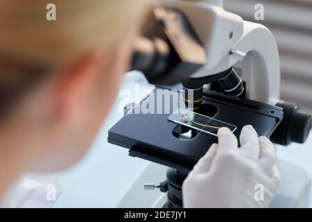Close up of unrecognizable female scientist looking in microscope while examining plant samples in biotechnology lab, copy space Stock Photo