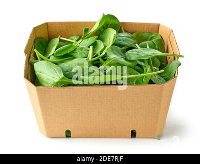 cardboard box fresh green spinach leaves isolated on white background Stock Photo
