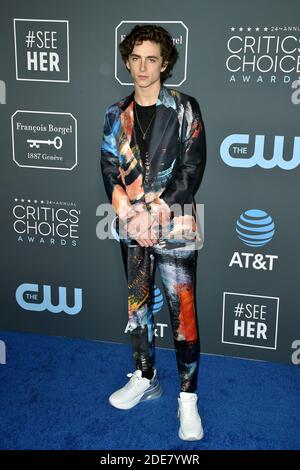 Timothee Chalamet attends the 24th annual Critics' Choice Awards at Barker Hangar on January 13, 2019 in Santa Monica, CA, USA. Photo by Lionel Hahn/ABACAPRESS.COM Stock Photo