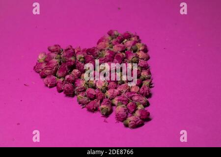 A lot of little pink roses on a pink background - heart-shaped - horizontal photo Stock Photo