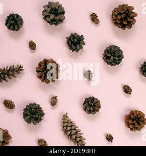 Pine cones pattern background. flat lay, top view Stock Photo