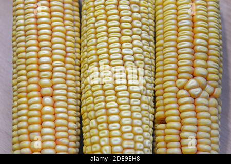 Corn cobs in Beijing, China Stock Photo