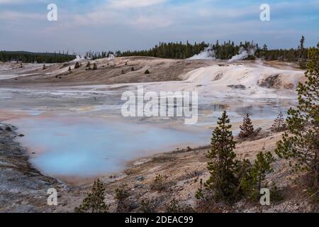 Porcelain Springs, an opalescent pool in the Porcelain Basin of the Norris Geyser Basin, Yellowstone National Park, Wyoming, USA. Stock Photo