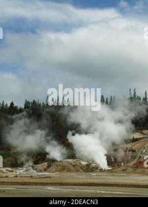 The Black Growler Steam Vent and Ledge Geyser in the Porcelain Basin of ...