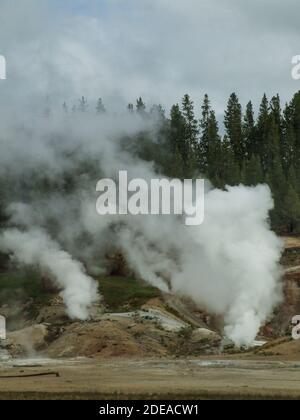 Ledge Geyser and the Black Growler Steam Vent in the Porcelain Basin of ...