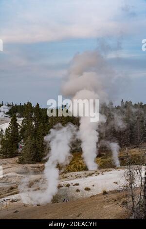 Ledge Geyser and the Black Growler Steam Vent in the Porcelain Basin of ...