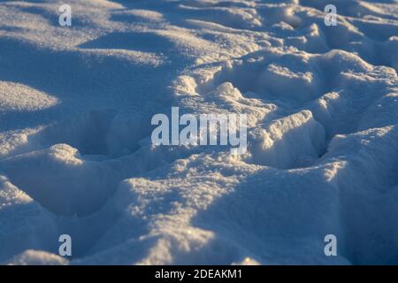 Background of fresh white snow. Winter snowflakes texture. Shiny snow with bokeh. Selective focus. Stock Photo