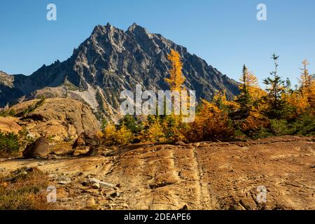WA18592-00...WASHINGTON - View of Mount Stuart from the Ingalls Way Trail in Alpine Lakes Wilderness in Wenatchee National Forest. Stock Photo