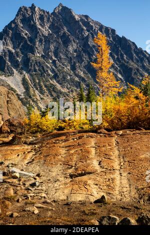 WA18593-00...WASHINGTON - View of Mount Stuart from the Ingalls Way Trail in Alpine Lakes Wilderness in Wenatchee National Forest. Stock Photo