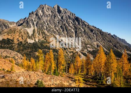 WA18605-00...WASHINGTON - Mount Stuart from the Ingalls Way trail passing by Alpine larch groves in the Alpine Lakes Wilderness area. Stock Photo