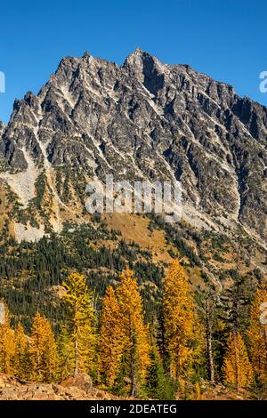 WA18606-00...WASHINGTON - Mount Stuart from the Ingalls Way trail passing by Alpine larch groves in the Alpine Lakes Wilderness area. Stock Photo