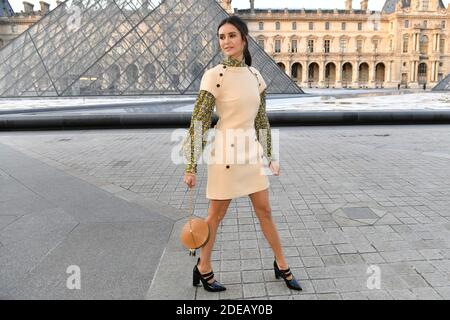 Nina Dobrev attends the Louis Vuitton Cruise 2020 Fashion Show at