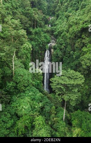 Aerial drone view of large hidden waterfall in jungle rainforest. Wild untouched nature, green background. Bali, Indonesia Stock Photo