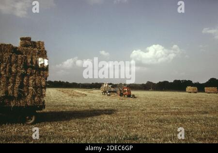 1970s Photo (1973) -  Farm on Route 35 near Pt. Pleasant Stock Photo