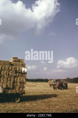 1970s Photo (1973) -  Farm on Route 35 near Pt. Pleasant. In this section; the Kanawha River valley widens; and industry gives way to large-scale farming Stock Photo