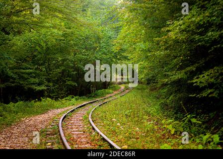 Abandoned railway in autumn mountain forest with foliar trees in Caucasus, Mezmay. Stock Photo