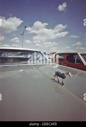 Shea stadium parking lot hi-res stock photography and images - Alamy