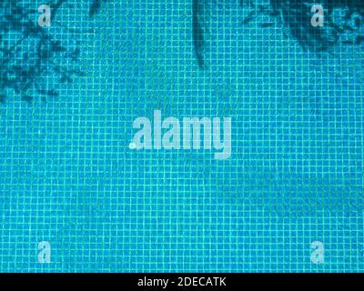 Blue pool background. Swimming pool bottom background with small square blue mosaic tiles with tree shadow on clear water surface, view from top. Stock Photo