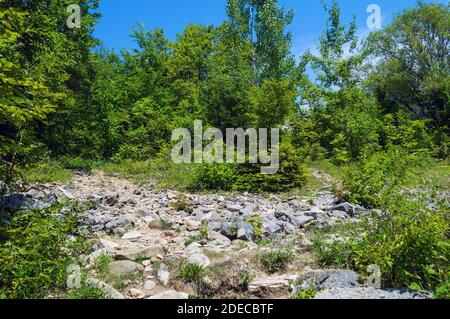 Some rocks stone at meadow in the woods. Summer day in forest in Adygeya respublic in South of Russia Stock Photo