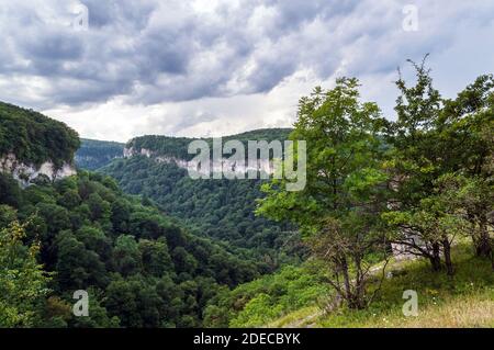 Dense green forest climbing the slopes of the Adygeya republic in South of Russia Stock Photo